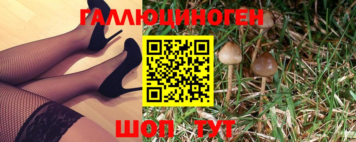 Псилоцибиновые грибы GOLDEN TEACHER Удомля