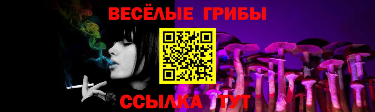 Галлюциногенные грибы GOLDEN TEACHER  Вход с VPN  Удомля 
